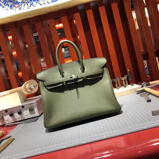 エルメス バーキン25 カノピ トゴ ゴールド金具
