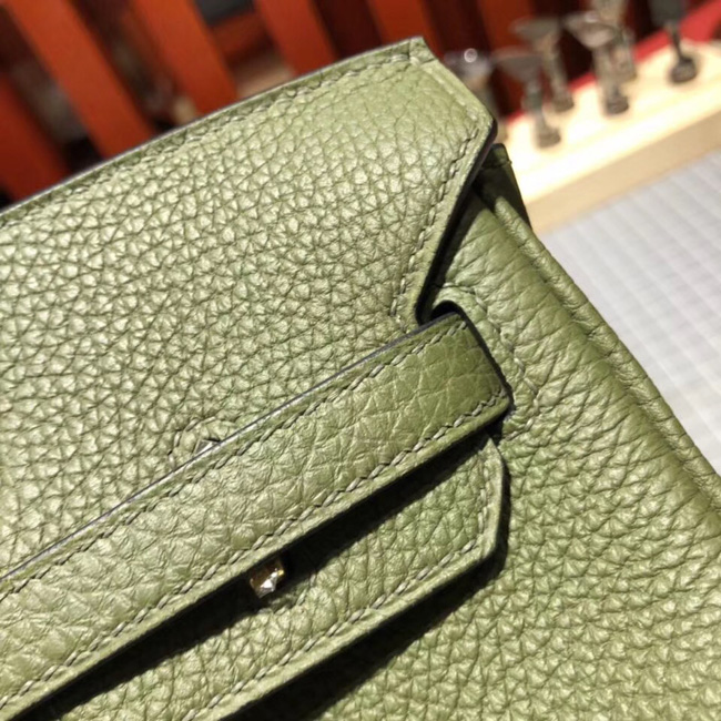 エルメス バーキン25 カノピ トゴ ゴールド金具