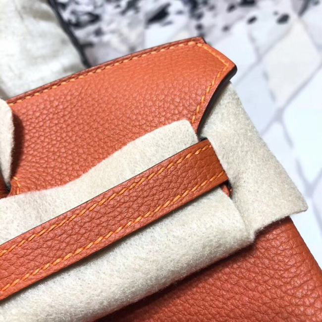 エルメス バーキン25 カプシーヌ トゴ ゴールド金具