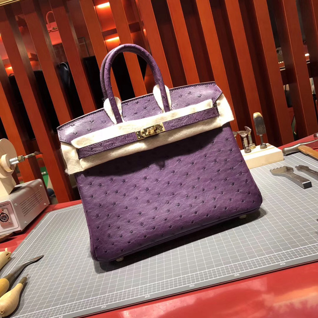 エルメス バーキン25 ヴィオレ オーストリッチ ゴールド金具
