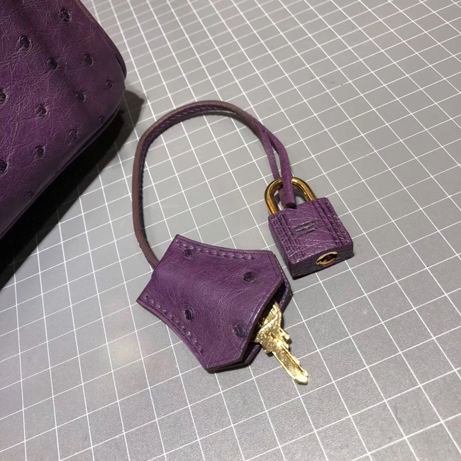 エルメス バーキン25 ヴィオレ オーストリッチ ゴールド金具