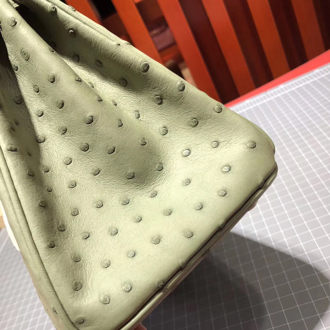 エルメス バーキン25 カーキ オーストリッチ ゴールド金具