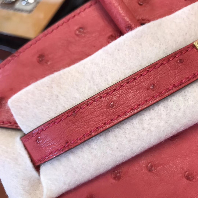 エルメス バーキン25 ブーゲンビリア オーストリッチ ゴールド金具