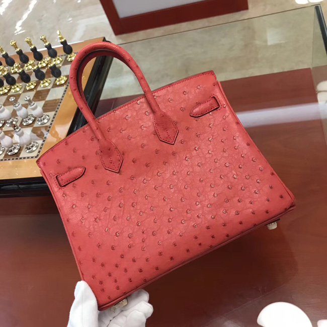 エルメス バーキン25 ブーゲンビリア オーストリッチ ゴールド金具