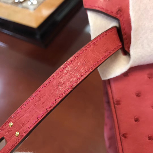 エルメス バーキン25 ブーゲンビリア オーストリッチ ゴールド金具