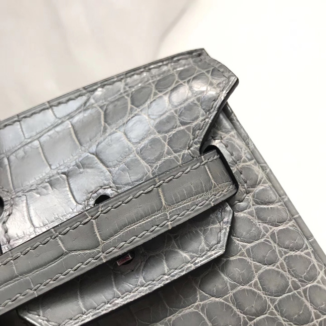 エルメス バーキン25 エトゥープ クロコダイル ニロティカス シルバー金具