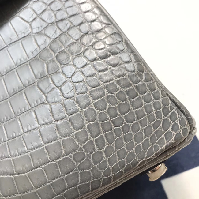 エルメス バーキン25 エトゥープ クロコダイル ニロティカス シルバー金具