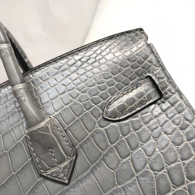 エルメス バーキン25 エトゥープ クロコダイル ニロティカス シルバー金具