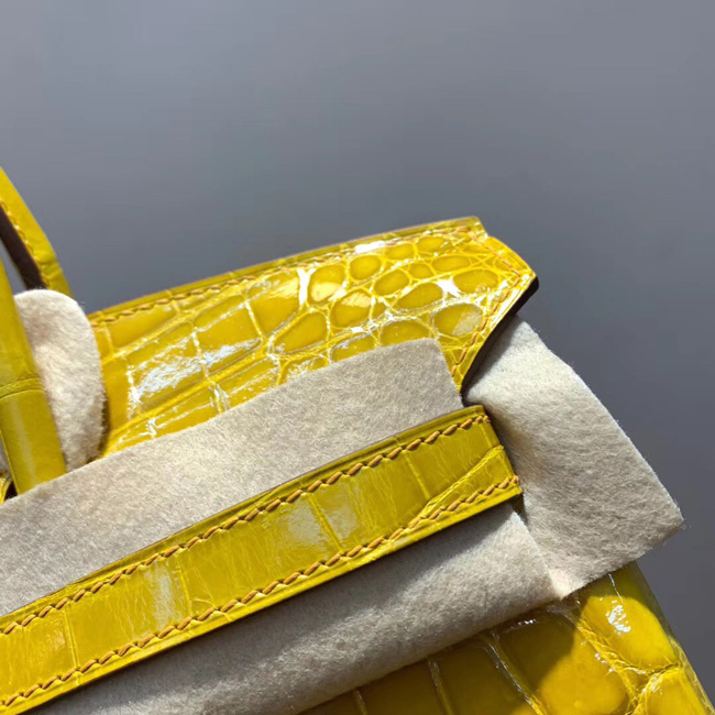 エルメス バーキン25 ミモザ クロコダイル ニロティカス シルバー金具