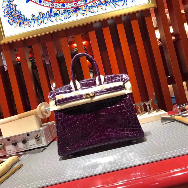 エルメス バーキン25 ヴィオレ クロコダイル ニロティカス ゴールド金具
