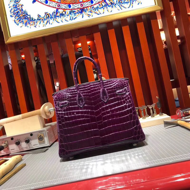 エルメス バーキン25 ヴィオレ クロコダイル ニロティカス ゴールド金具