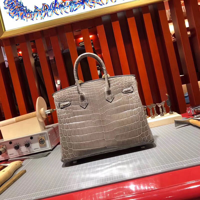 エルメス バーキン25 エトープ クロコダイル ニロティカス ゴールド金具
