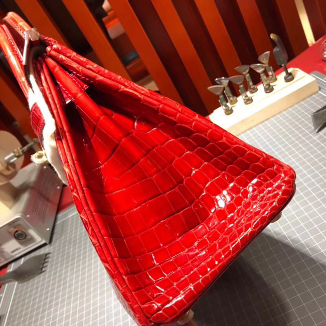 エルメス バーキン25 ブーゲンビリア クロコダイル ニロティカス ゴールド金具