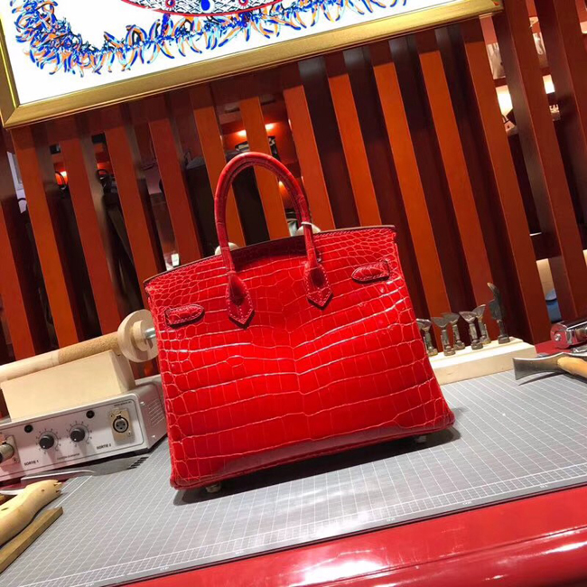 エルメス バーキン25 ブーゲンビリア クロコダイル ニロティカス ゴールド金具