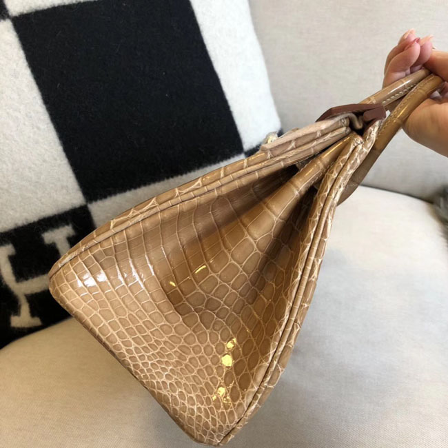 エルメス バーキン25 プシエール クロコダイル ゴールド金具