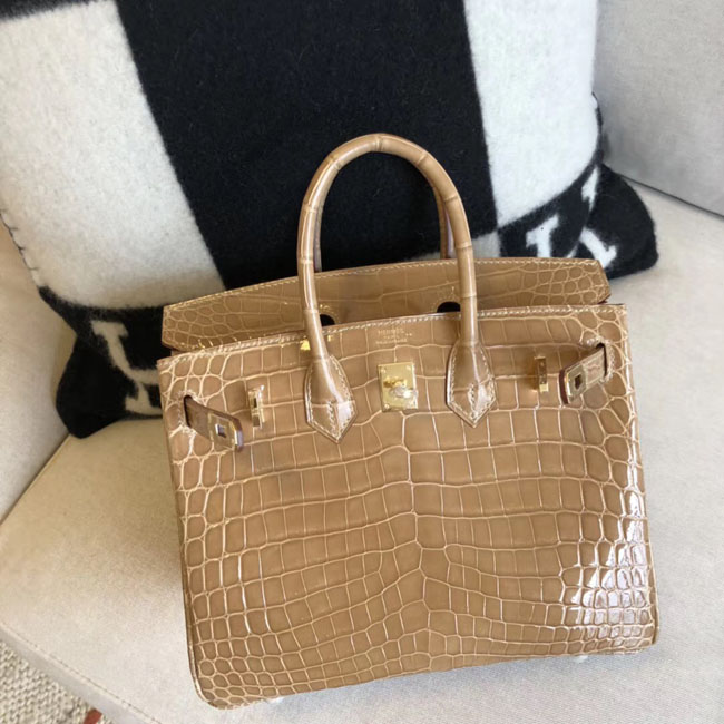 エルメス バーキン25 プシエール クロコダイル ゴールド金具
