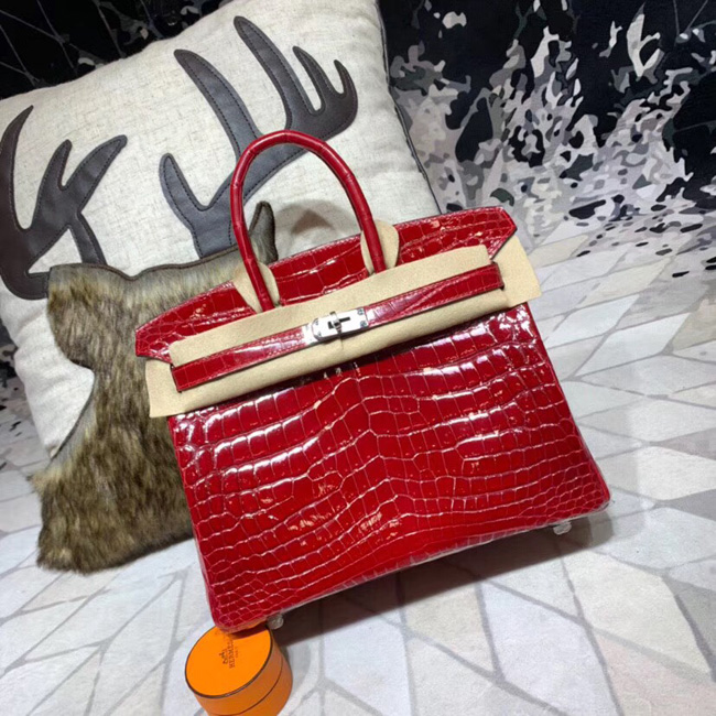 エルメス バーキン25 ブレイズ クロコダイル ニロティカス シルバー金具