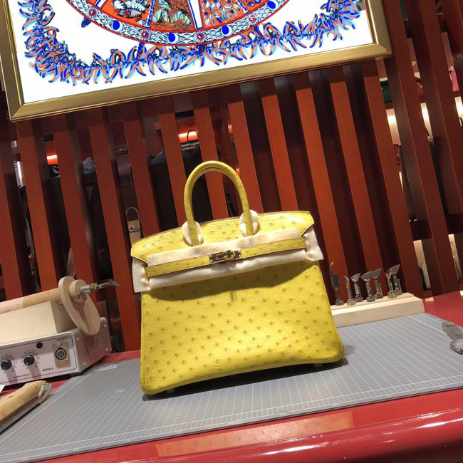 エルメス バーキン25 サフラン オーストリッチ ゴールド金具