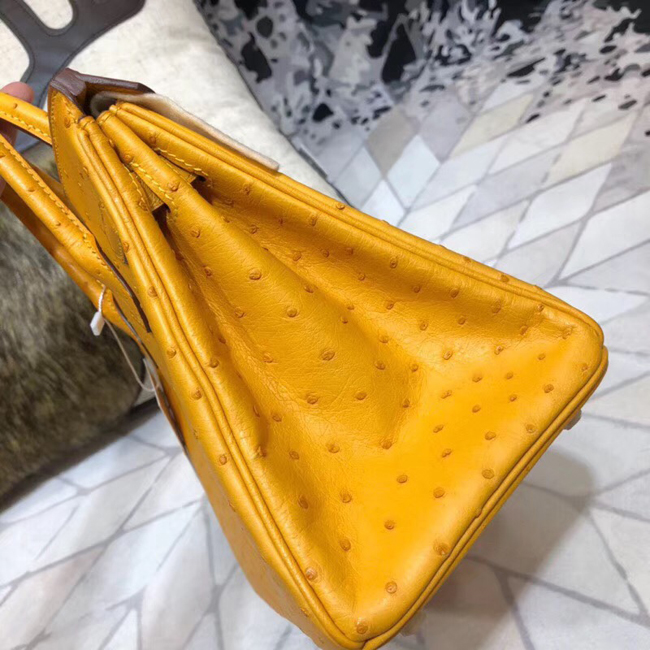 エルメス バーキン25 サフラン オーストリッチ ゴールド金具