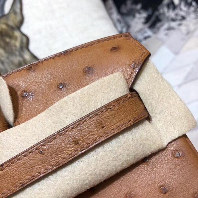 エルメス バーキン25 ゴールド オーストリッチ シルバー金具