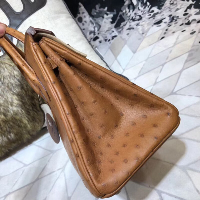 エルメス バーキン25 ゴールド オーストリッチ シルバー金具