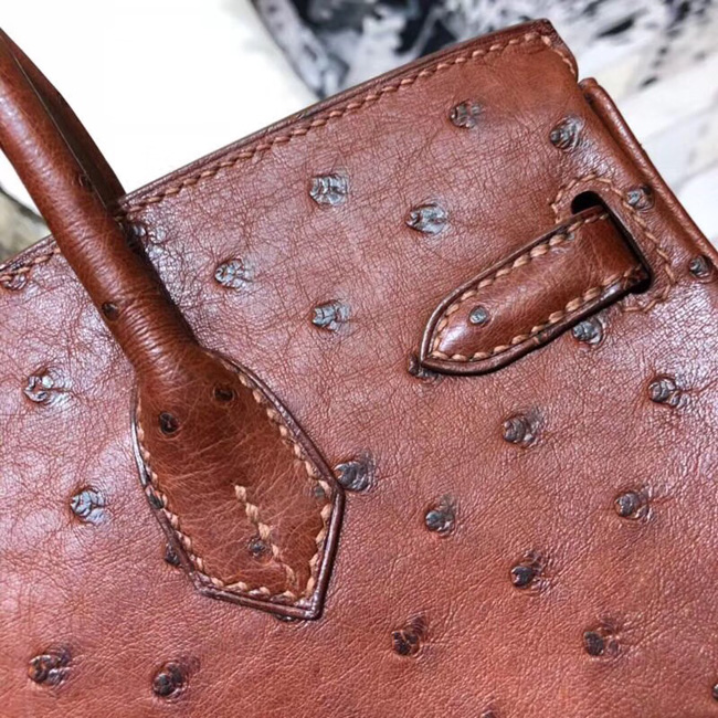 エルメス バーキン25 ボルドー オーストリッチ ゴールド金具