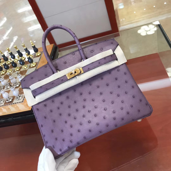 エルメス バーキン25 アイリス オーストリッチ ゴールド金具