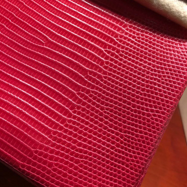 エルメス バーキン25 トスカ リザード ゴールド金具