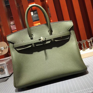 エルメス バーキン25 カノピ トゴ ゴールド金具