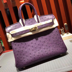 エルメス バーキン25 ヴィオレ オーストリッチ ゴールド金具