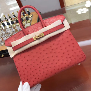 エルメス バーキン25 ブーゲンビリア オーストリッチ ゴールド金具