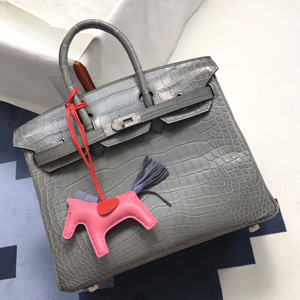 エルメス バーキン25 エトゥープ クロコダイル ニロティカス シルバー金具