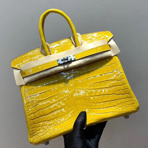 エルメス バーキン25 ミモザ クロコダイル ニロティカス シルバー金具