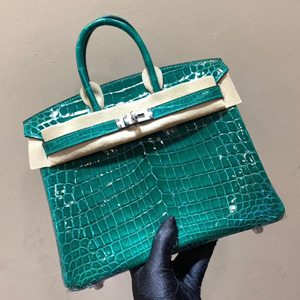 エルメス バーキン25 ブレイズ クロコダイル ニロティカス シルバー金具