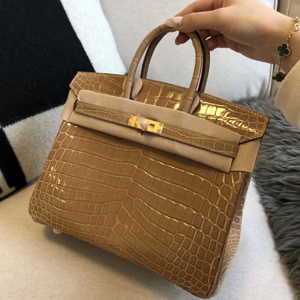 エルメス バーキン25 プシエール クロコダイル ゴールド金具
