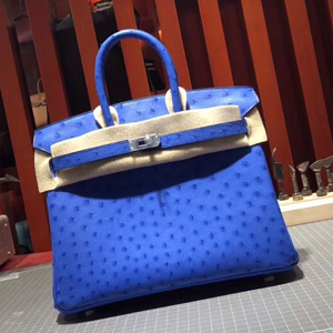 エルメス バーキン25 ブルーエレクトリック オーストリッチ シルバー金具