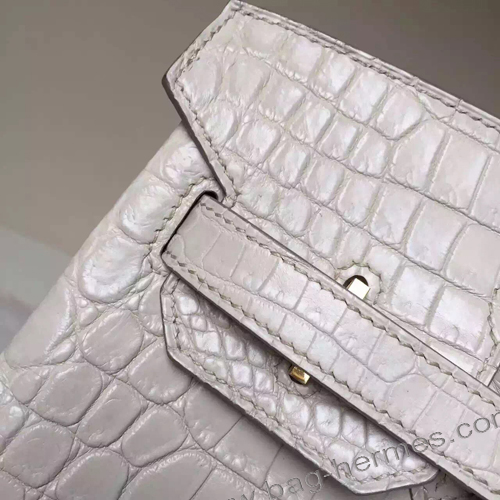 エルメス バーキン30 アルジル クロコダイル ゴールド金具