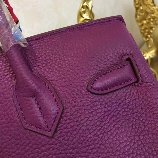 エルメス　バーキン30　アネモネ　トゴ　シルバー金具