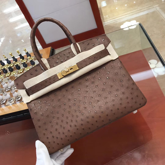 エルメス バーキン30 ブリュレ オーストリッチ ゴールド金具