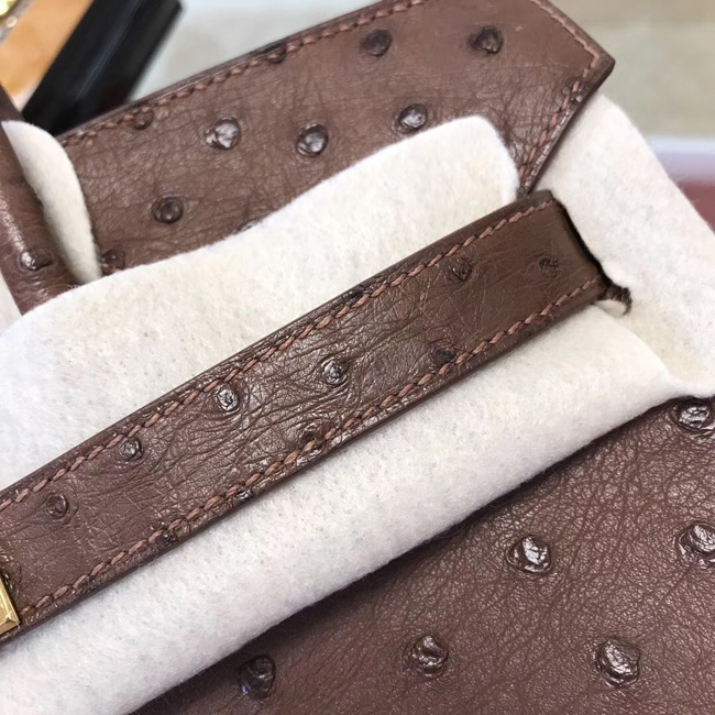 エルメス バーキン30 ブリュレ オーストリッチ ゴールド金具