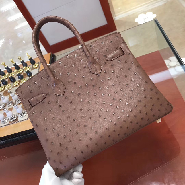 エルメス バーキン30 ブリュレ オーストリッチ ゴールド金具