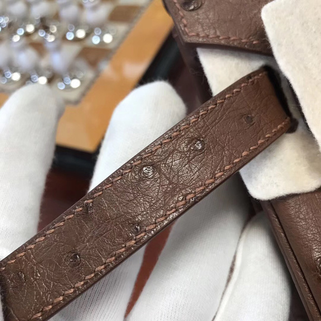 エルメス バーキン30 ブリュレ オーストリッチ ゴールド金具