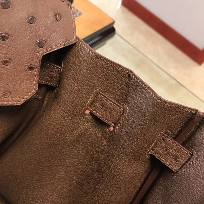 エルメス バーキン30 ブリュレ オーストリッチ ゴールド金具