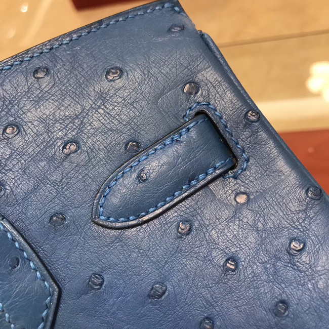 エルメス バーキン30 ブルードマルト オーストリッチ ゴールド金具