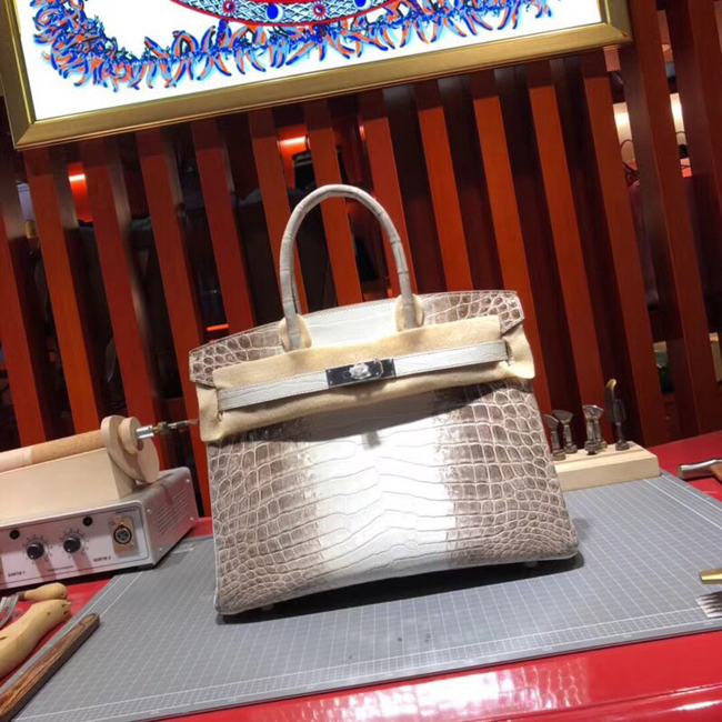 エルメス バーキン30 ヒマラヤ クロコダイル ニロティカスマット シルバー金具