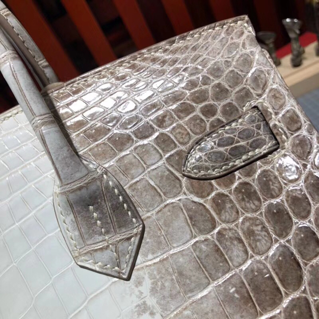 エルメス バーキン30 ヒマラヤ クロコダイル ニロティカスマット シルバー金具