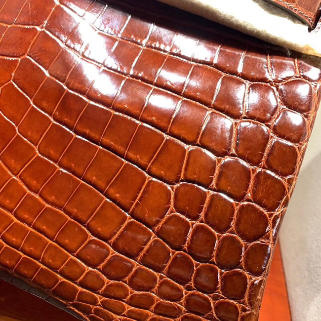 エルメス バーキン30 ミール クロコダイル ニロティカス ゴールド金具