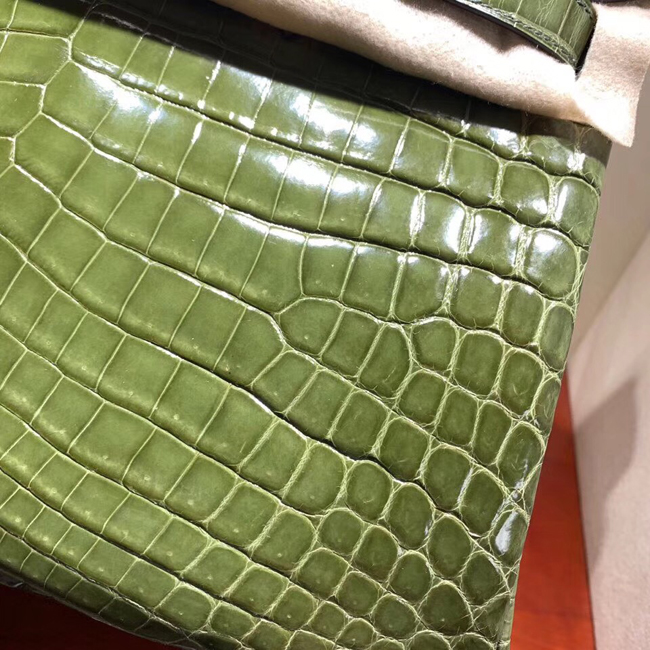 エルメス バーキン30 カノピ クロコダイル ニロティカス シルバー金具