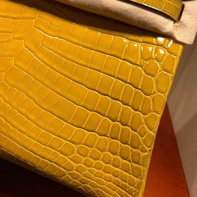 エルメス バーキン30 ミモザ クロコダイル ニロティカス シルバー金具