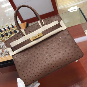 エルメス バーキン30 ブリュレ オーストリッチ ゴールド金具